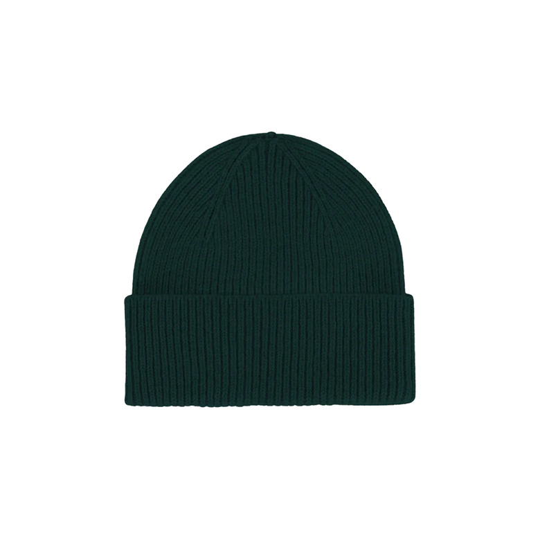 Colorful Standard beanie green