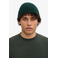 Colorful Standard beanie green 2