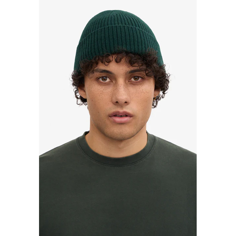 Colorful Standard beanie green 2