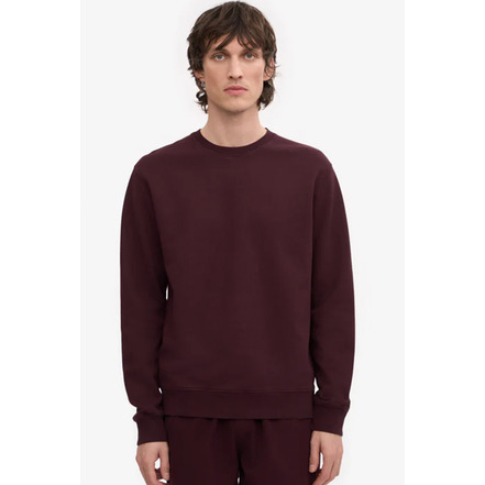 Colorful Standard sweater bordeaux