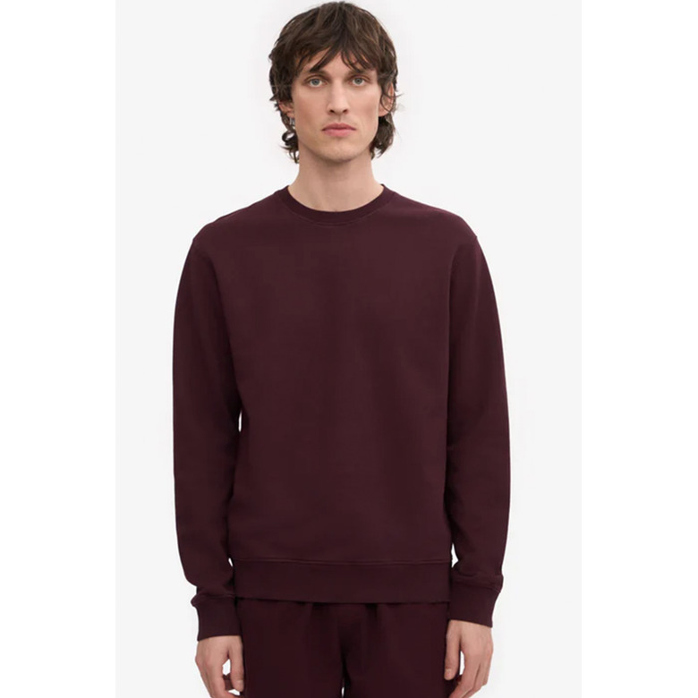 Colorful Standard sweater bordeaux 2