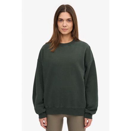 Colorful Standard sweater grey