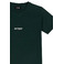 Antwrp t-shirts green 2