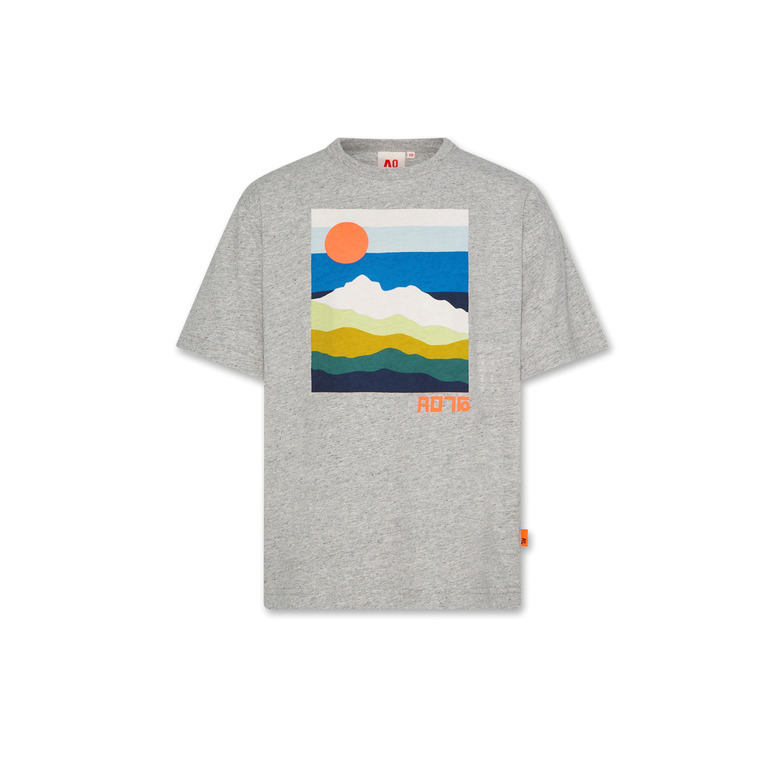 American Outfitters t-shirt gris