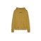 American Outfitters hoodie groen 1