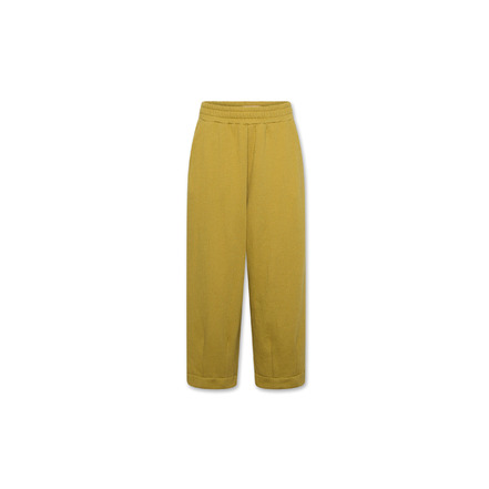 American Outfitters pantalon vert