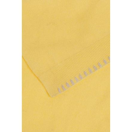 Xandres scarf yellow