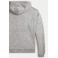 Ralph Lauren hoodie grey 2