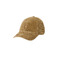 Ralph Lauren pet camel 1