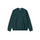 Carhartt Wip sweater grÜn 1