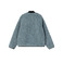 Carhartt Wip vest blue 2