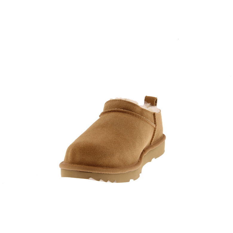 Ugg low shoes camel 3