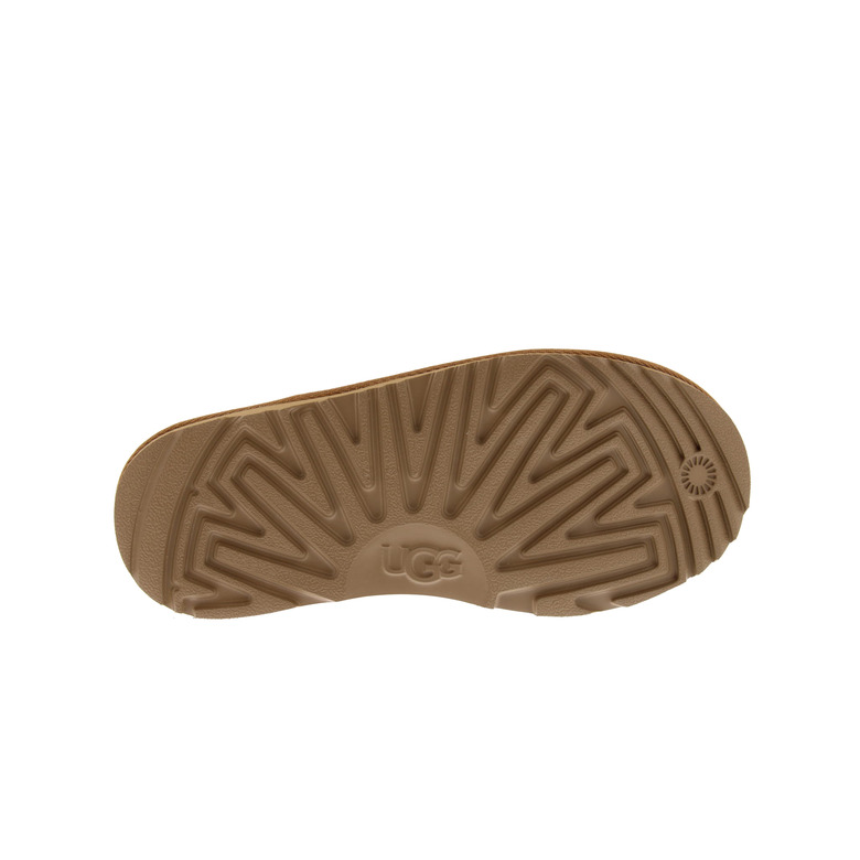 Ugg low shoes camel 5