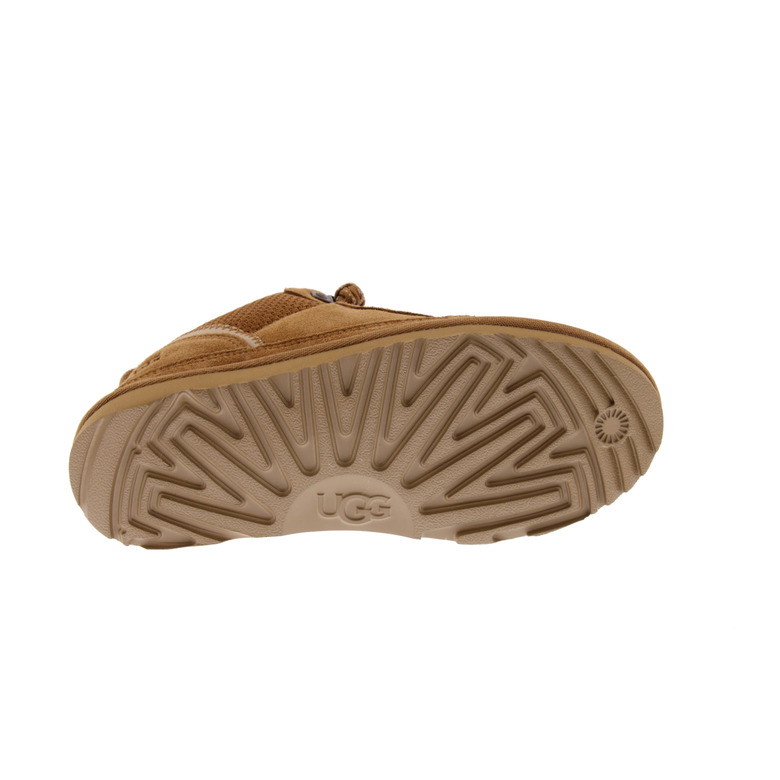 Ugg sneakers camel 5