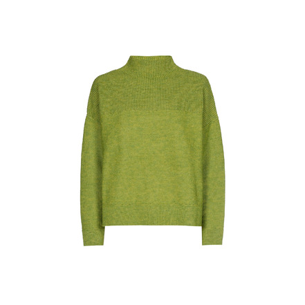 Caroline Biss pull vert