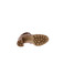 Nero Giardini bottillons cognac 5