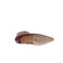 Angel Alarcon bottillons bordeaux 5