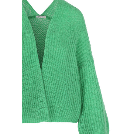 Hampton Bays cardigan vert