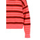 Hampton Bays pull rose 2