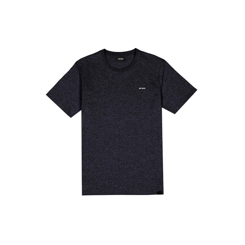 Antwrp t-shirt grau 1