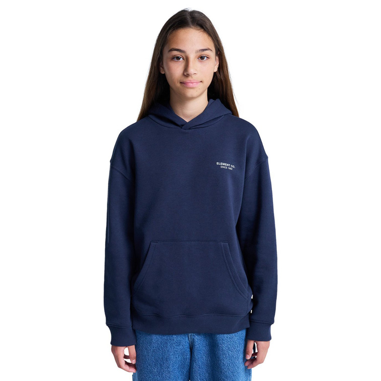 Element hoodie bleu 2