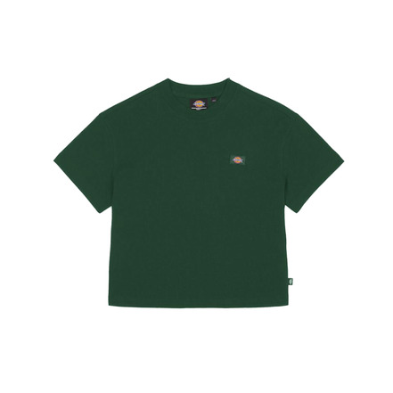 Dickies t-shirt grÜn