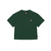 Dickies t-shirt grÜn 1
