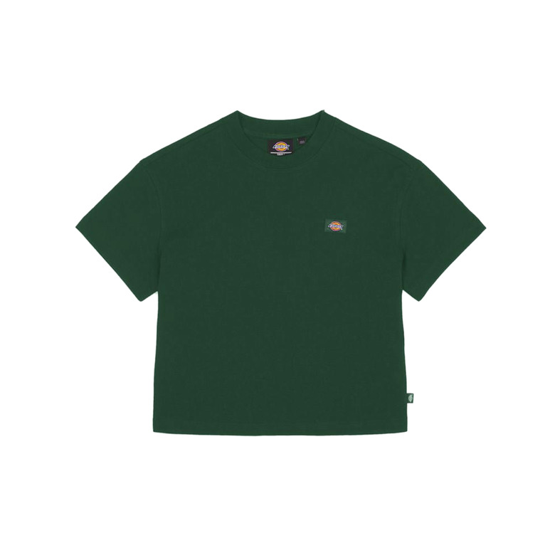 Dickies t-shirt grÜn