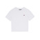 Dickies t-shirt weiss 1