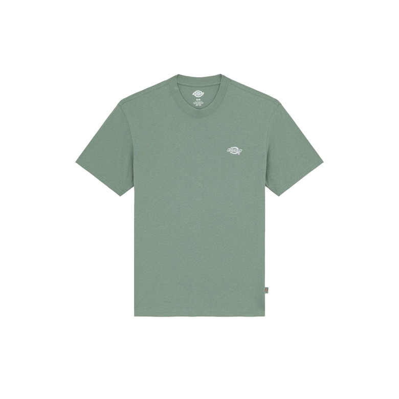 Dickies t-shirt grÜn