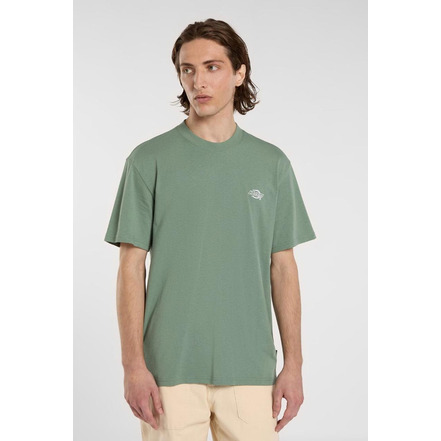 Dickies t-shirt grÜn
