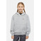 Dickies hoodie grey 2