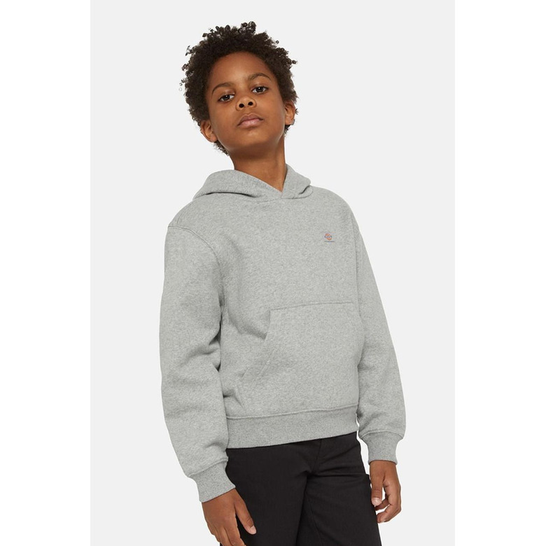 Dickies hoodie grey 3