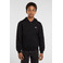 Dickies hoodie black 2
