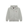 Dickies hoodie grijs 1