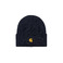 Carhartt Wip bonnet bleu 1