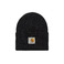 Carhartt Wip beanie black 1