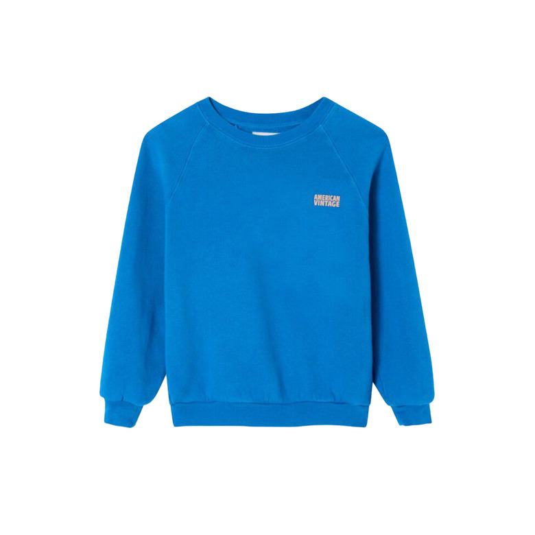 American Vintage sweater blue 1