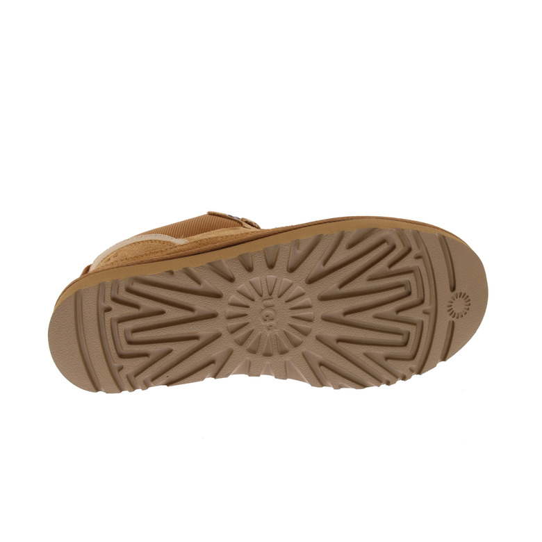 Ugg sneakers braun 5