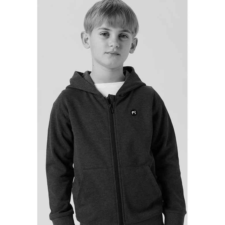 Name It Jongens hoodie grey 2