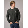 Antwrp sweater grijs 2