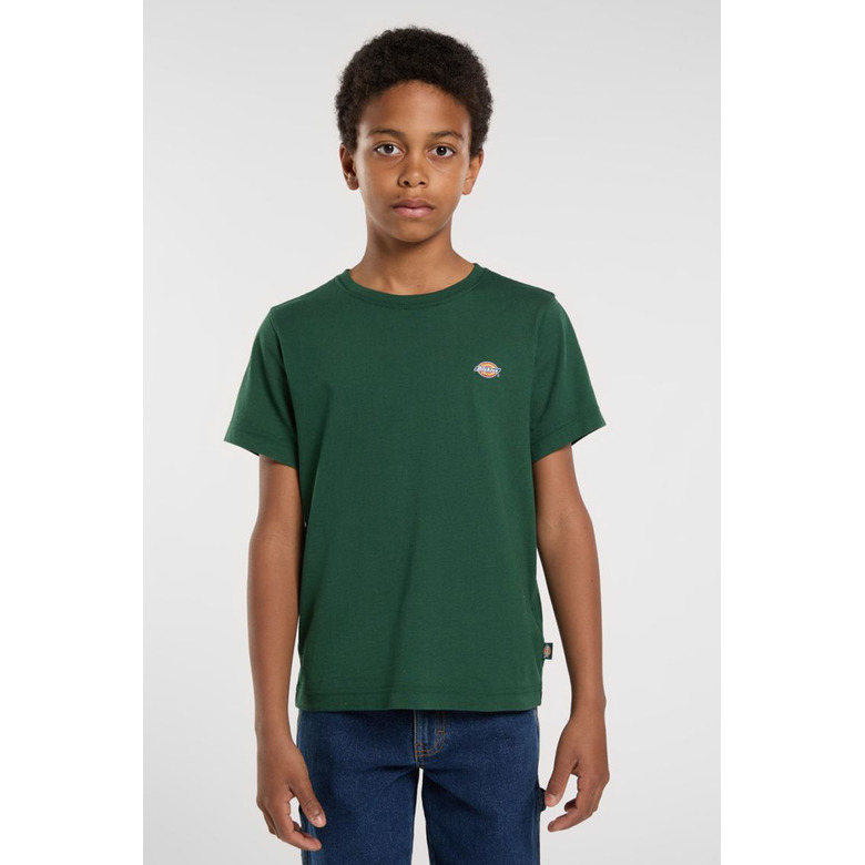 Dickies t-shirt groen 2