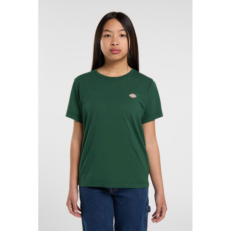 Dickies t-shirt groen 3