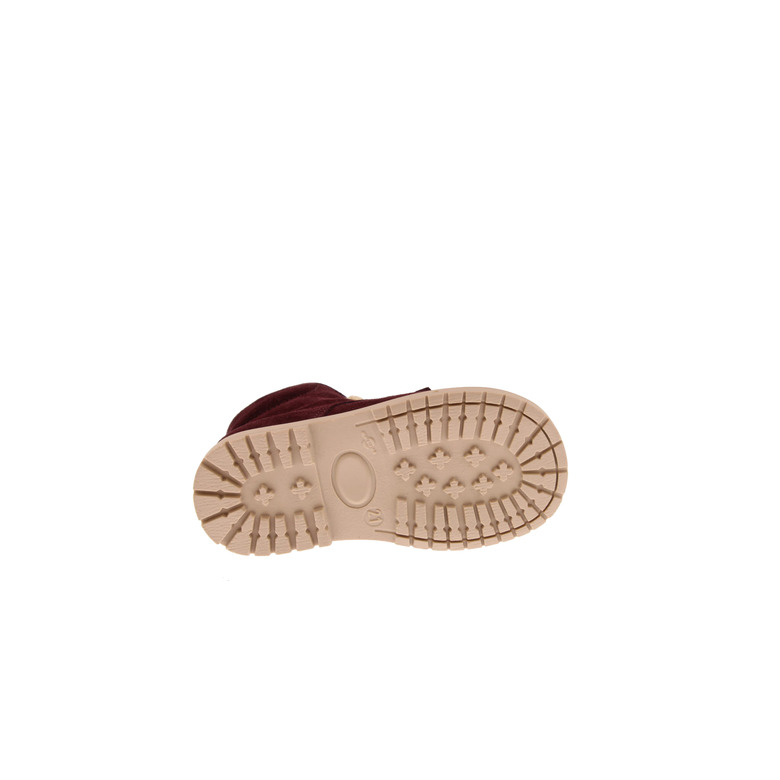 Zecchino D'oro chaussures hautes bordeaux 5