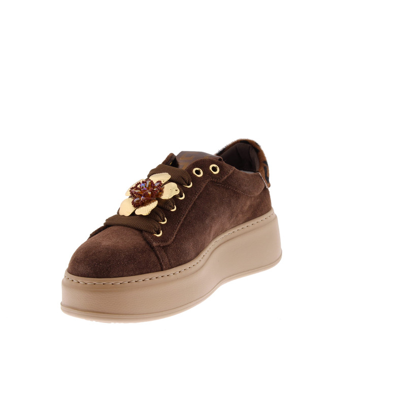 Gio& sneakers brun 3