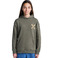 Element hoodie groen 2