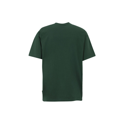 Iriedaily t-shirt grÜn
