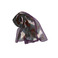 Gigue echarpe violet 1