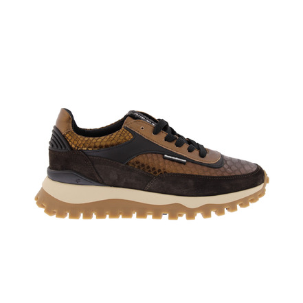 Floris Van Bommel sneakers bronze