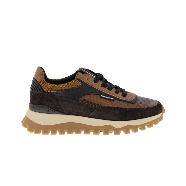 Floris Van Bommel sneakers bronze 1